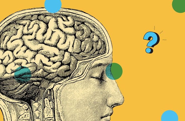Ask Us Anything What happens in your brain when you daydream — Popular Science